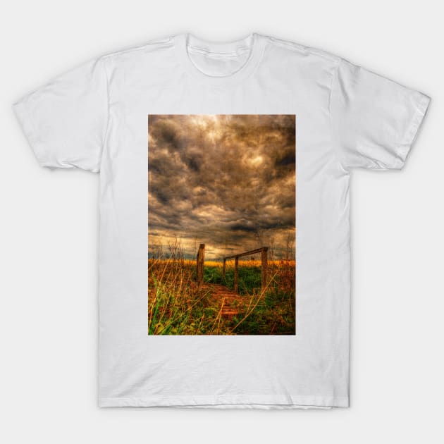 Summer Showers T-Shirt by Nigdaw